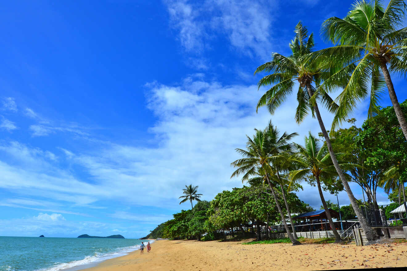 Trinity beach with golden sand, lined with palm trees under a vivid blue sky, indicating a tranquil coastal destination